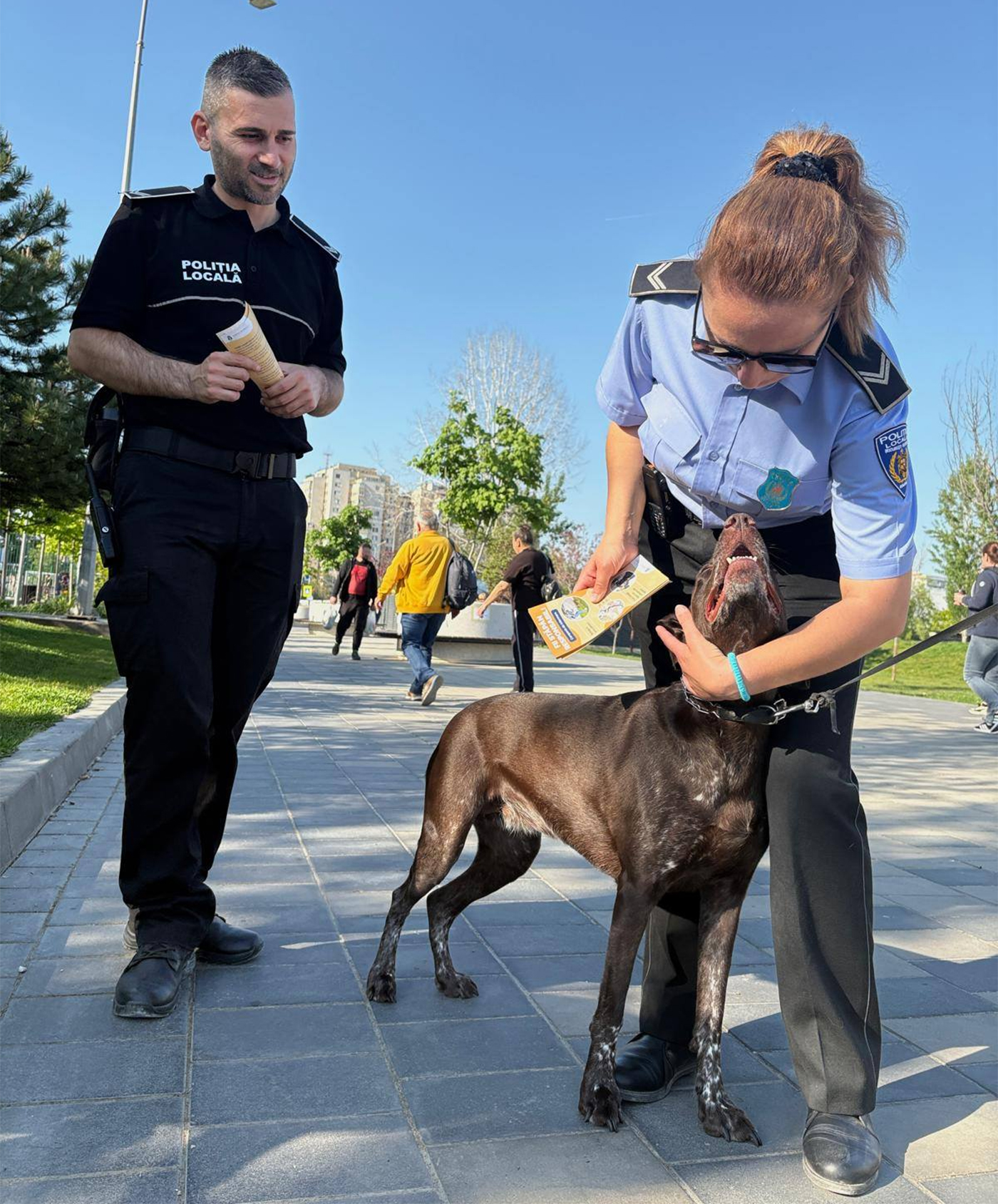 Amendă de 1.600 de lei pentru toți posesorii de câini din România care comit această greșeală. Un botoșănean a fost deja sancționat