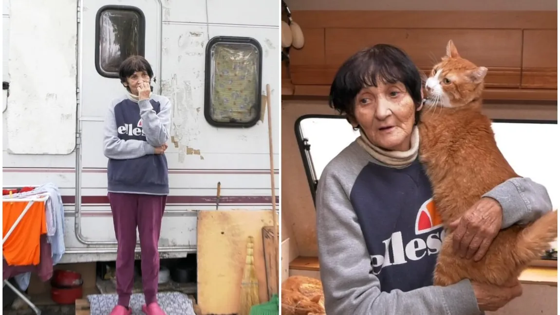 O femeie de 70 de ani locuiește într-o rulotă, în cartierul milionarilor. Doamna Ioana are grijă de cincizeci de pisici