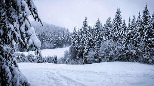 O nouă minivacanță se apropie pentru români. Ce alte zile libere ne mai așteaptă în 2025