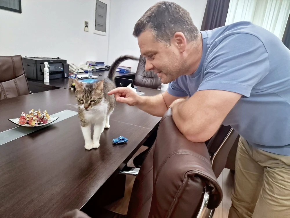 Jessy, felina-mascotă a Primăriei Sectorului 6. Ciprian Ciucu dezvăluie planurile privind soarta pisicuței