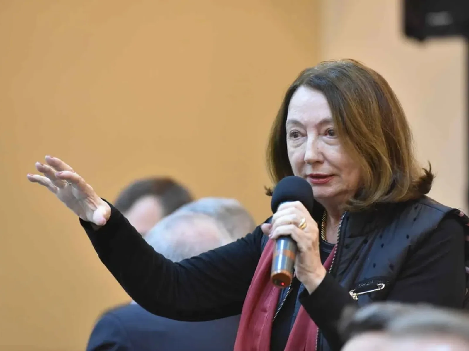 Rodica Stănoiu, posibilă deshumare? Detalii cutremurătoare despre ultimele ei ore: ar fi ajuns la spital „subnutrită și lovită”
