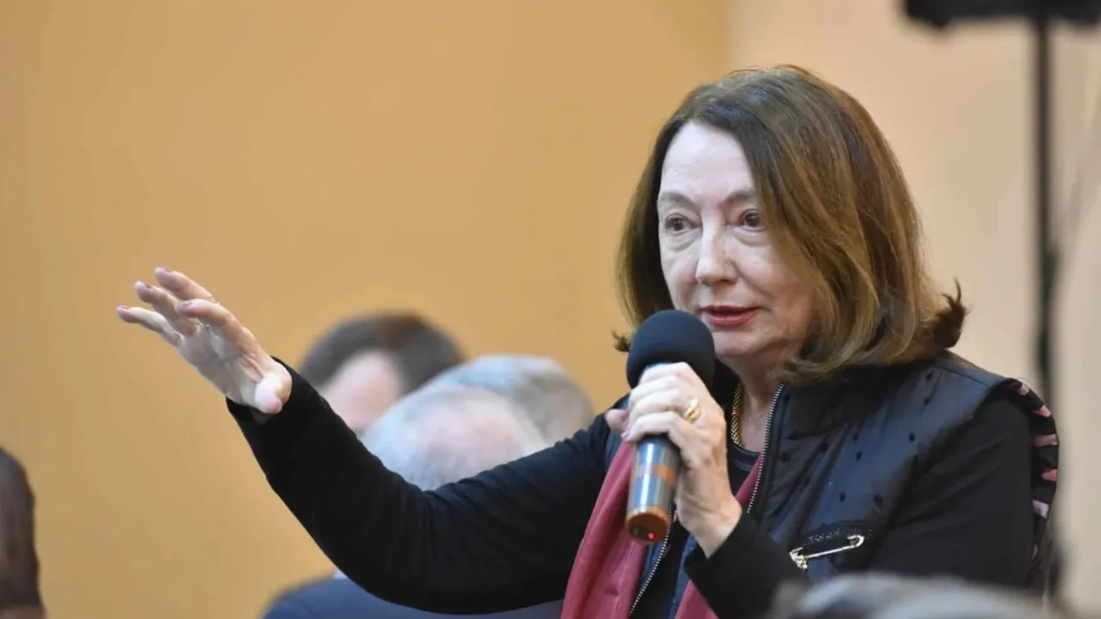 Ce ar fi dus la decesul Rodicăi Stănoiu, fost ministru al Justiției. Apropiații sunt sfâșiați de durere: „Voi rămâne mereu cu regretul că…”