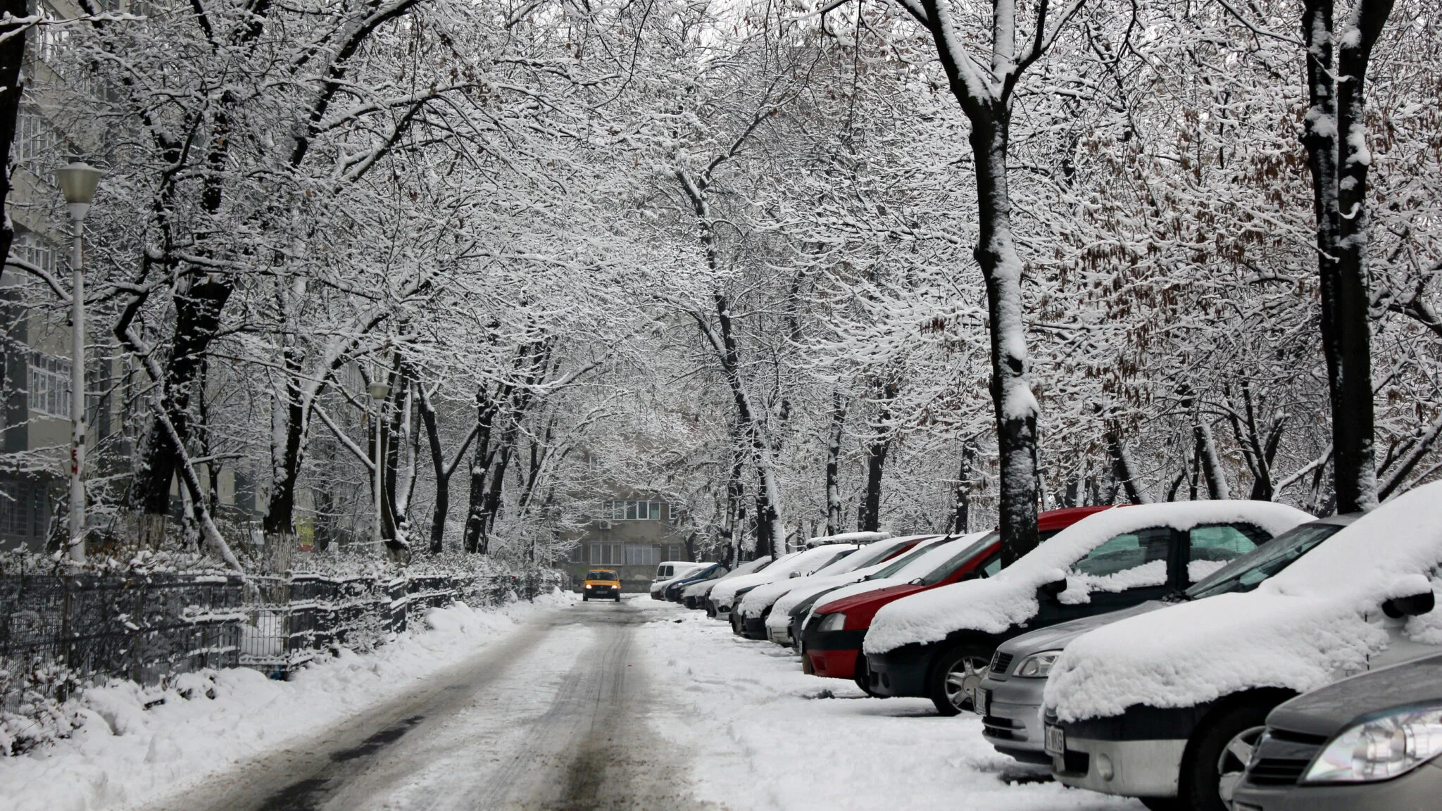 ANM a emis alertă meteo! Iarna adevărată revine în forță în România. Ninsori abundente și ger de până la –20°C