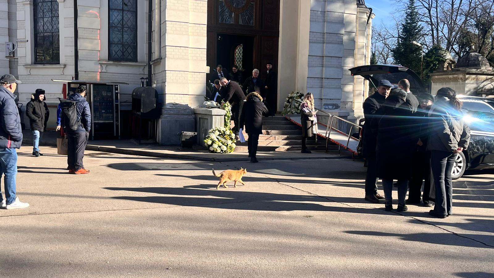 Un detaliu care a dat fiori! Pisica apărută „din senin” la înmormântarea tatălui Loredanei Groza. Ce simbolizează în credințele noastre