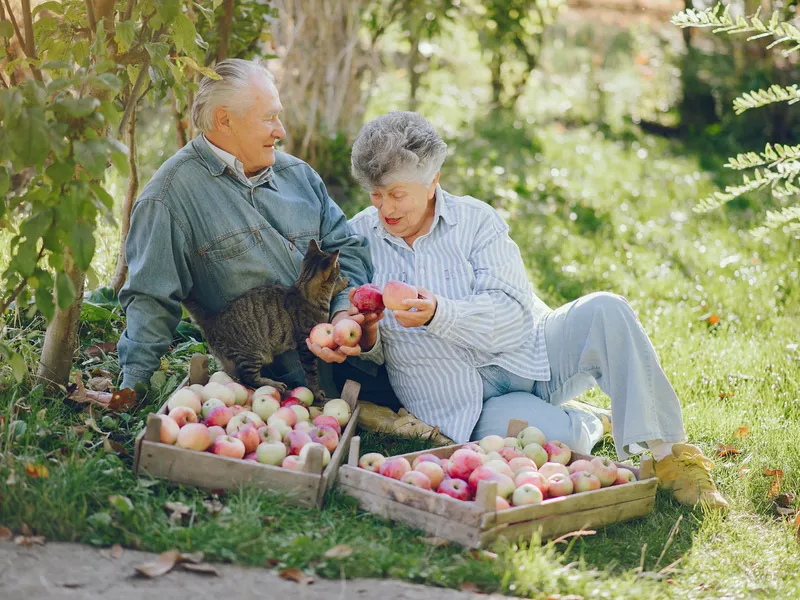 Surpriză pentru PENSIONARI! Casa de Pensii mută din nou ziua plății…