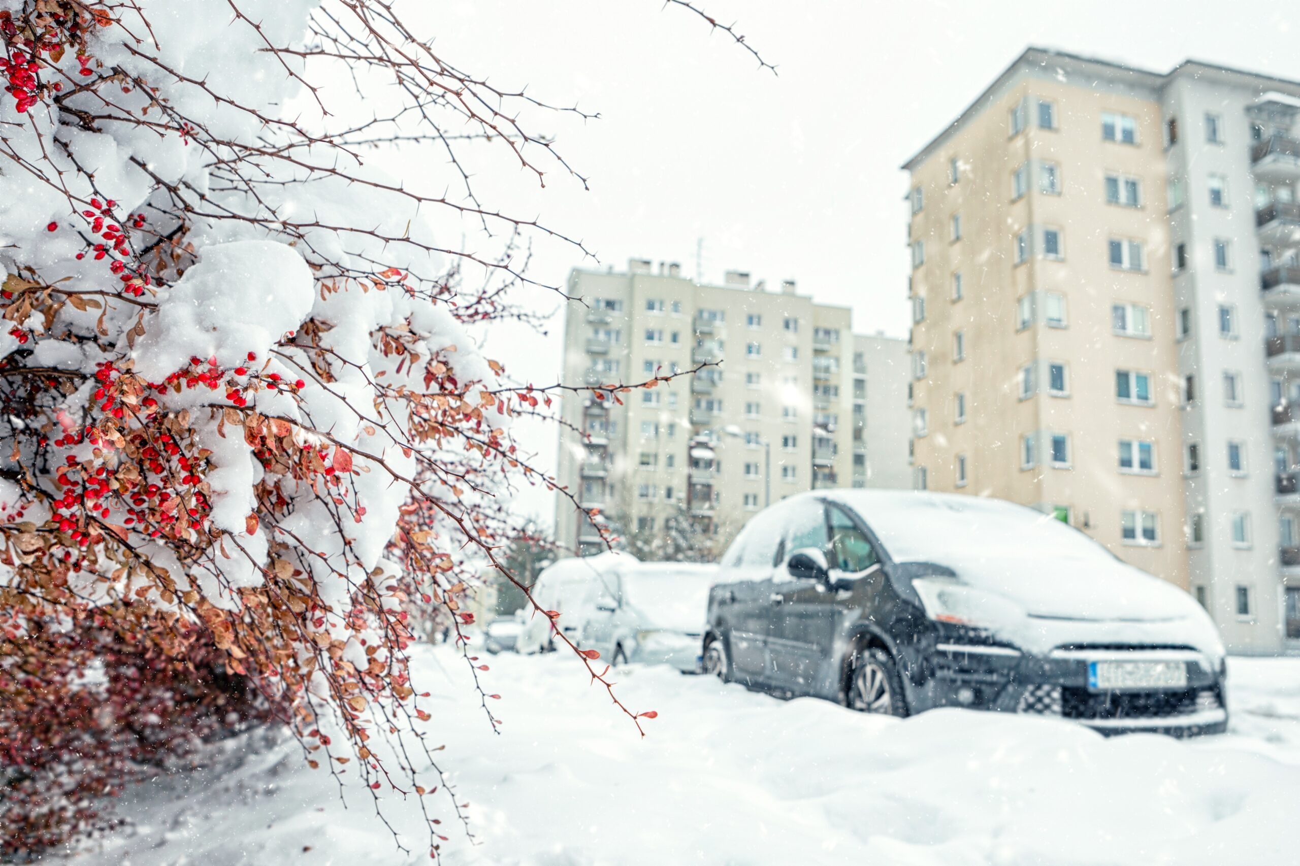 Vortex polar peste România! Urmează 13 zile consecutive de NINSOARE, începând cu…